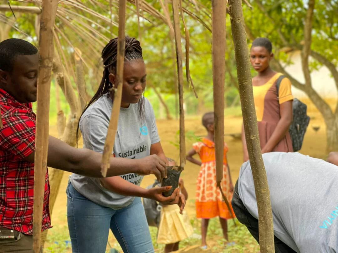 Green Ghana Day Gallery Image
