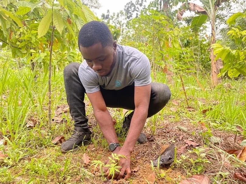 Green Ghana Day Gallery Image