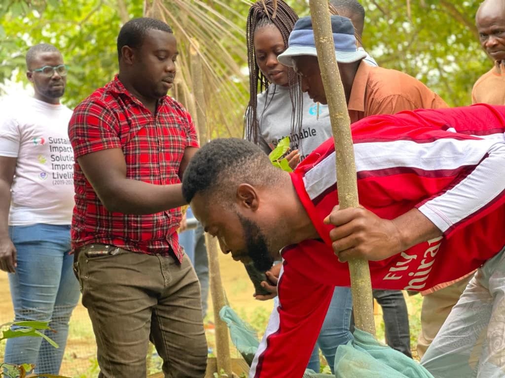 Green Ghana Day Gallery Image