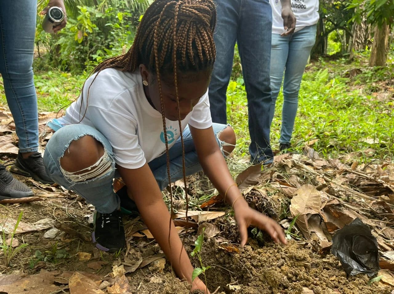 Green Ghana Day Gallery Image